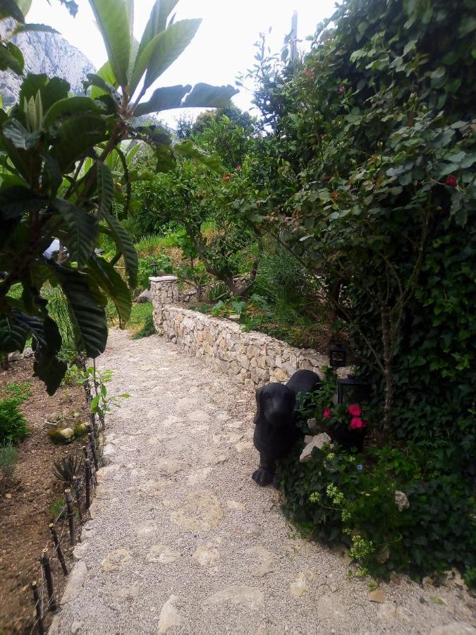 Villa Victoria Gradac  Esterno foto