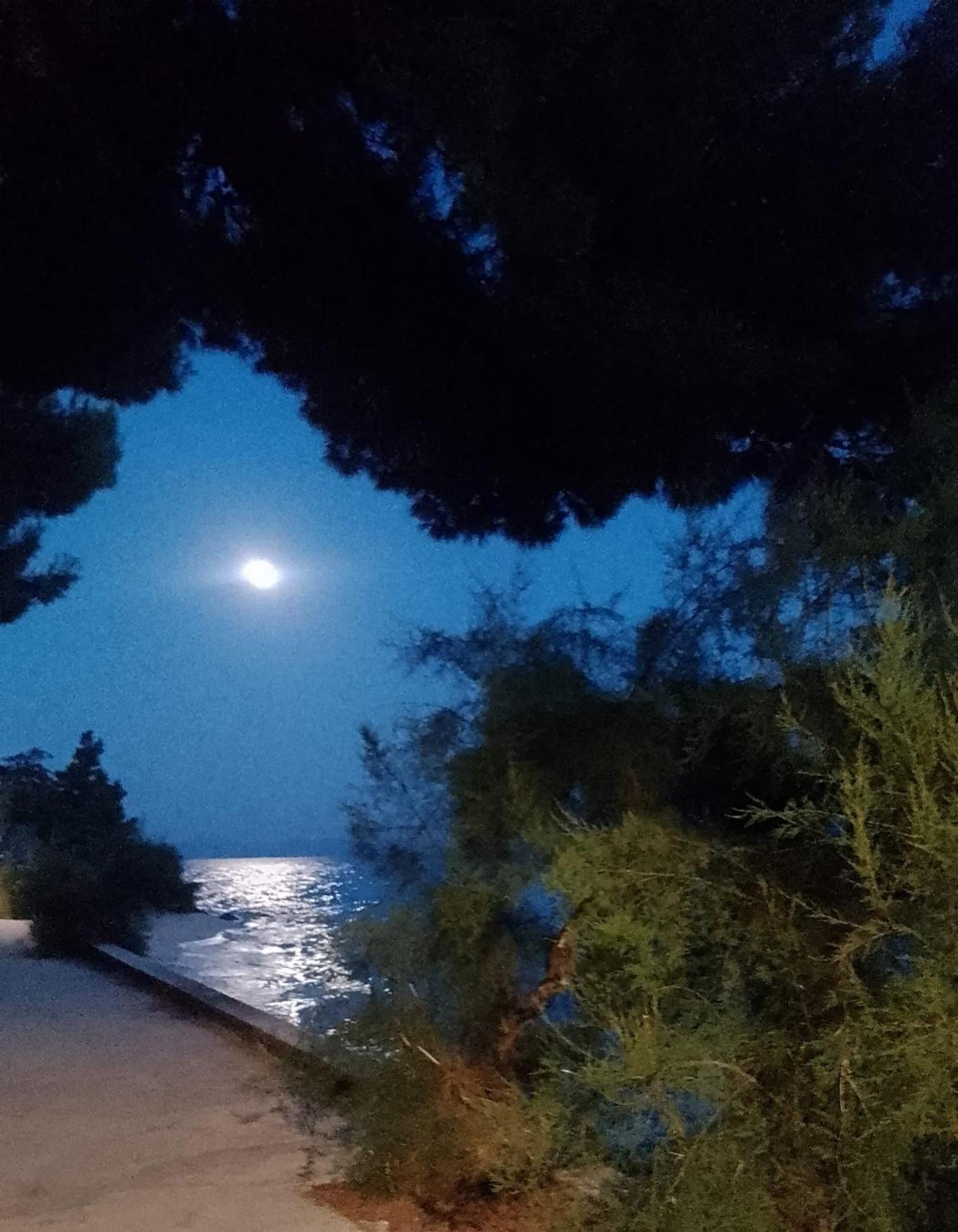 Villa Victoria Gradac  Esterno foto