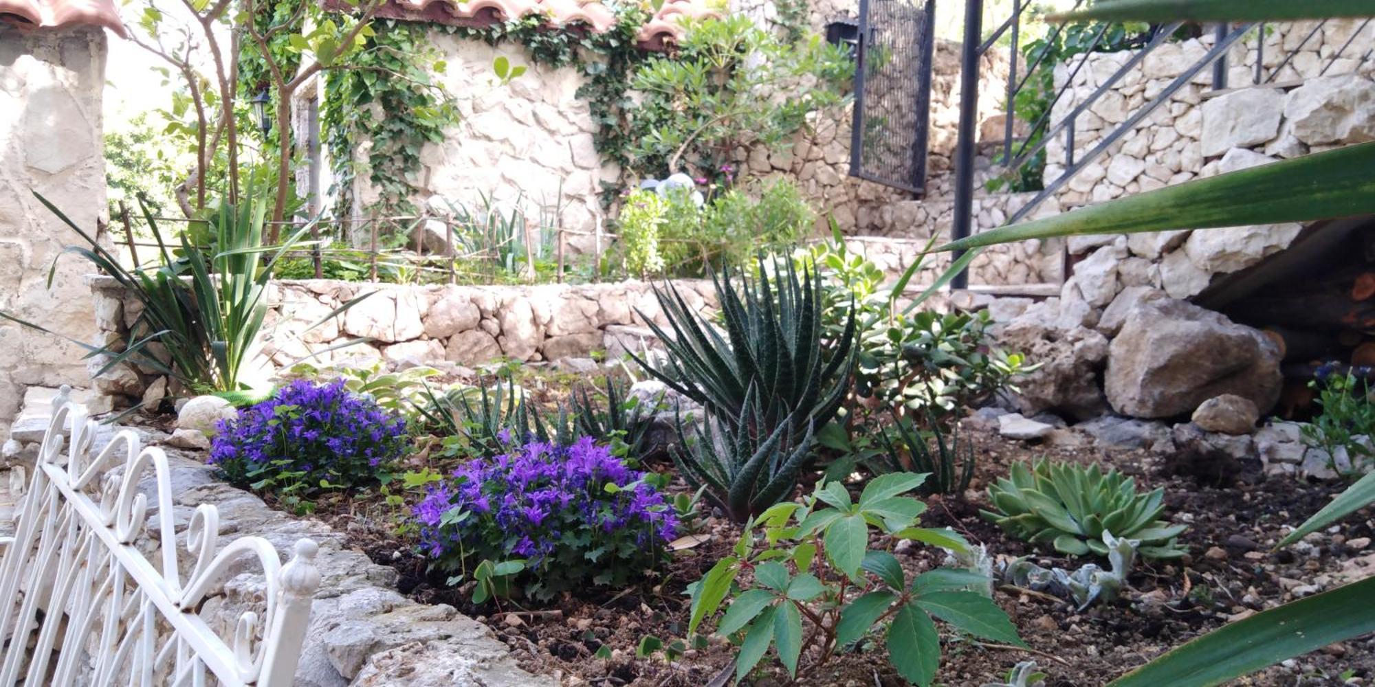 Villa Victoria Gradac  Esterno foto