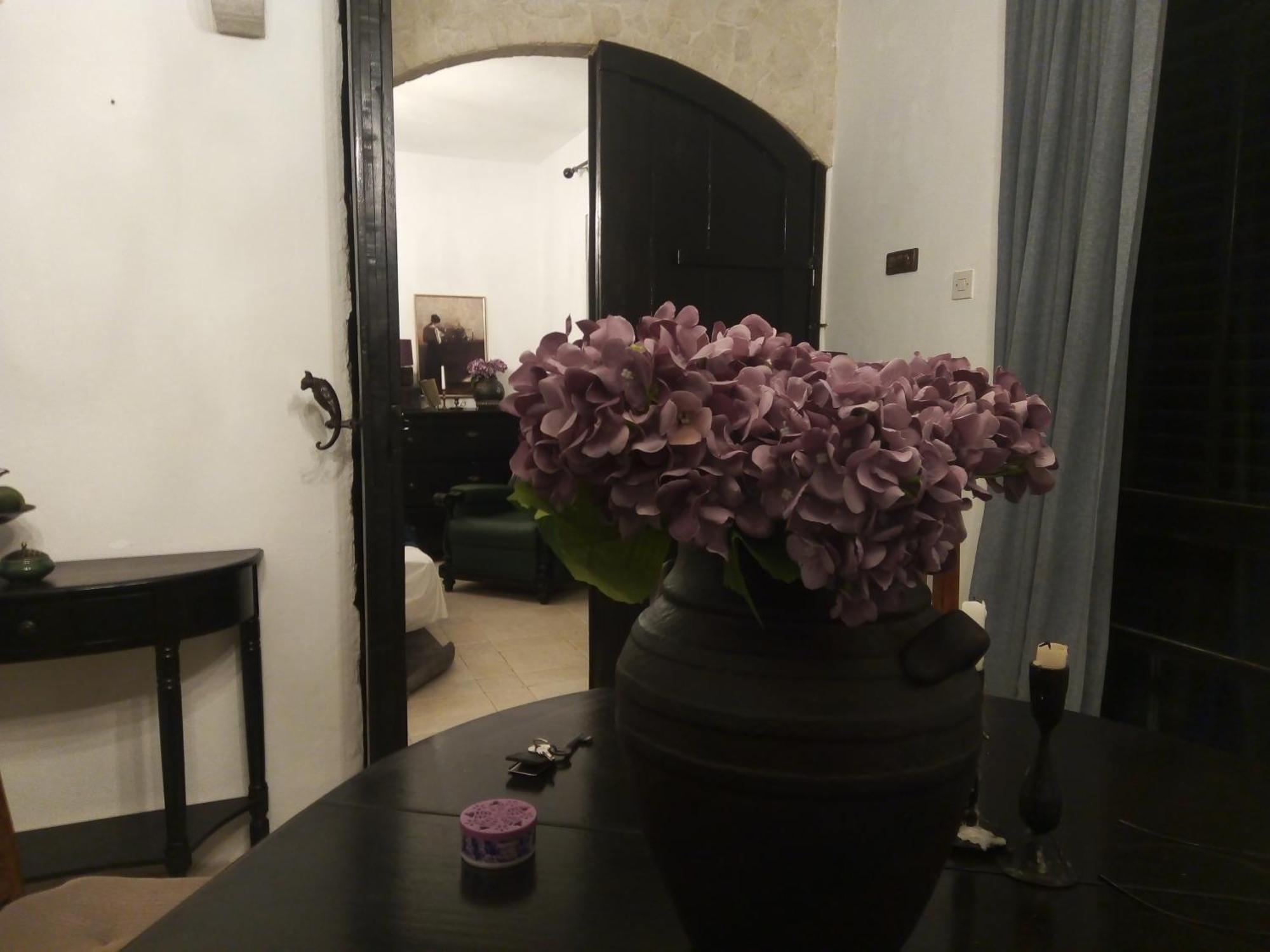Villa Victoria Gradac  Esterno foto